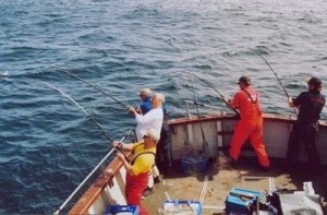 fish-front (400x263)