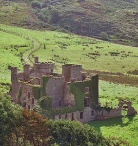 meadow ruin